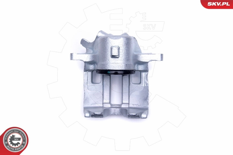 Brake Caliper 50SKV321