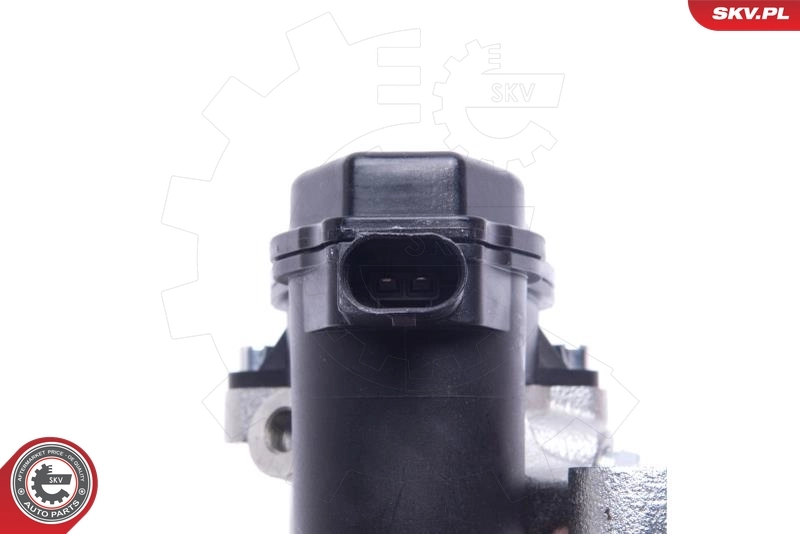 ESEN SKV 55SKV934 Brake Caliper
