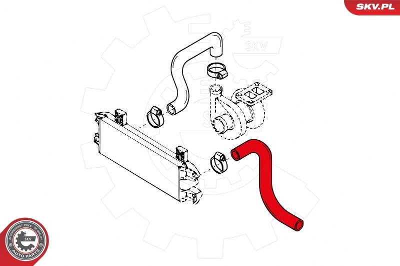 Charge Air Hose 43SKV017