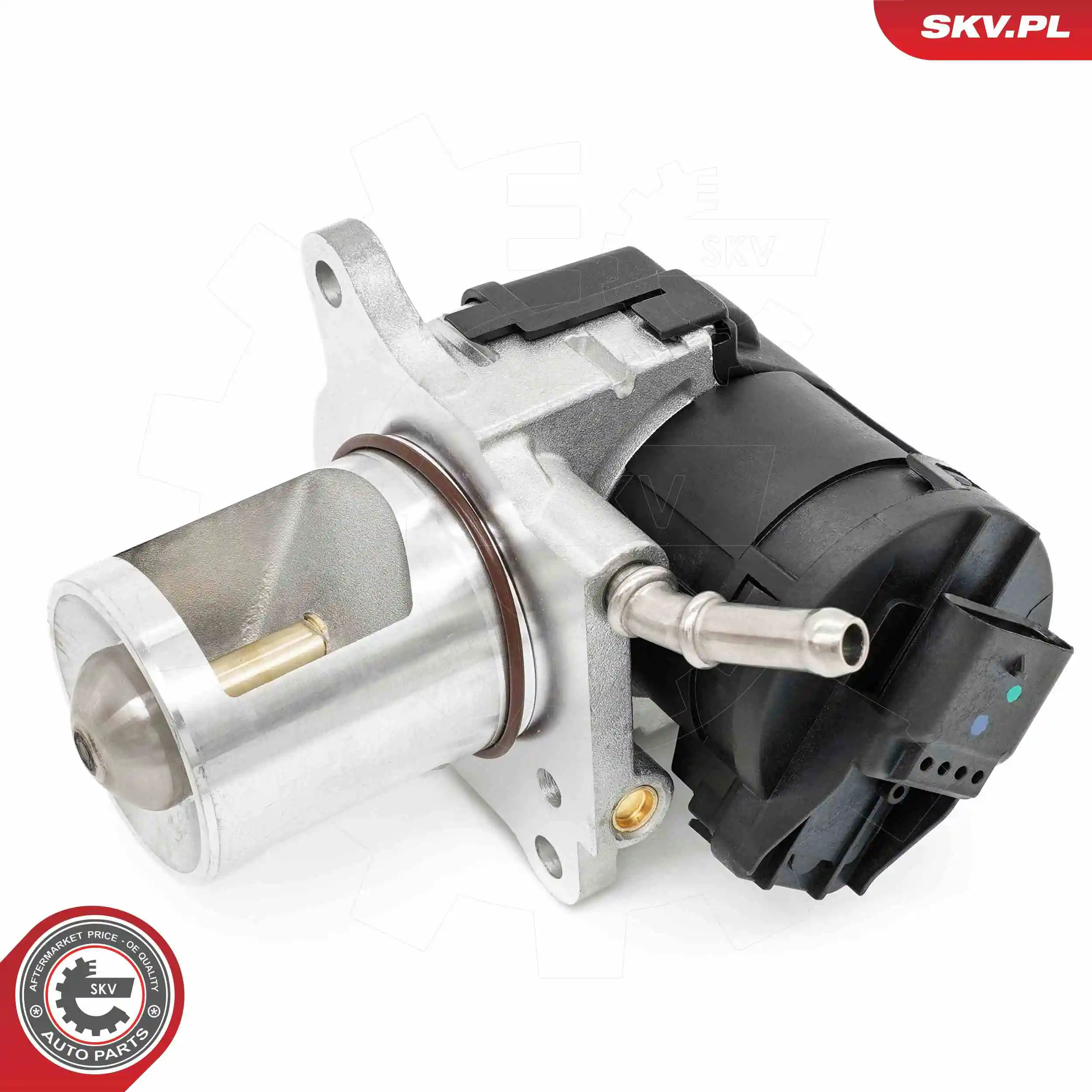 EGR Valve 14SKV266