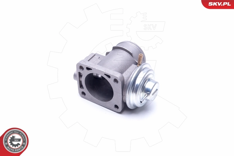 EGR Valve 14SKV174