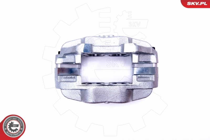 Brake Caliper 45SKV881