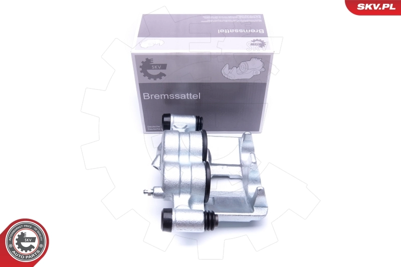 Brake Caliper 42SKV871