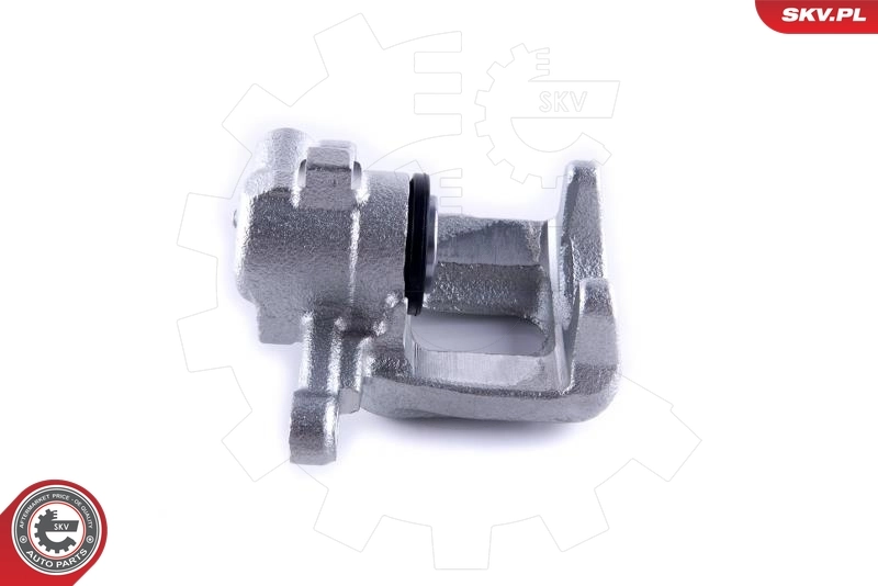Brake Caliper 55SKV233