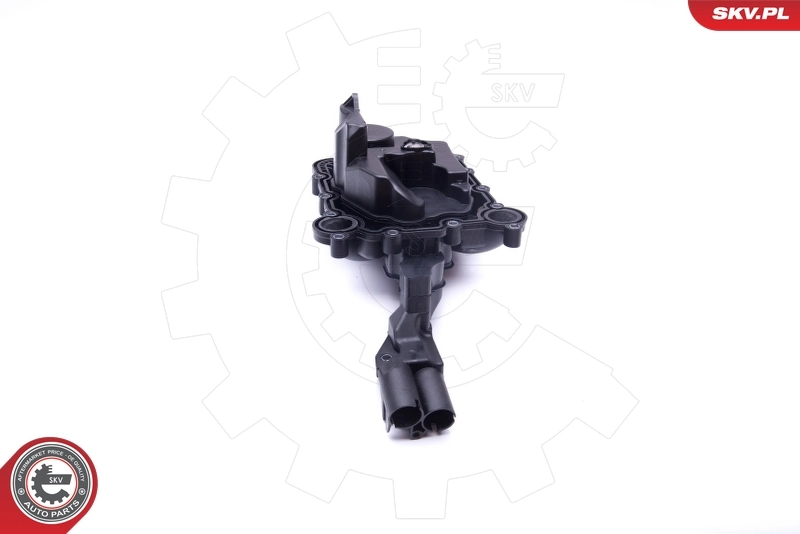 Valve, crankcase ventilation 31SKV078