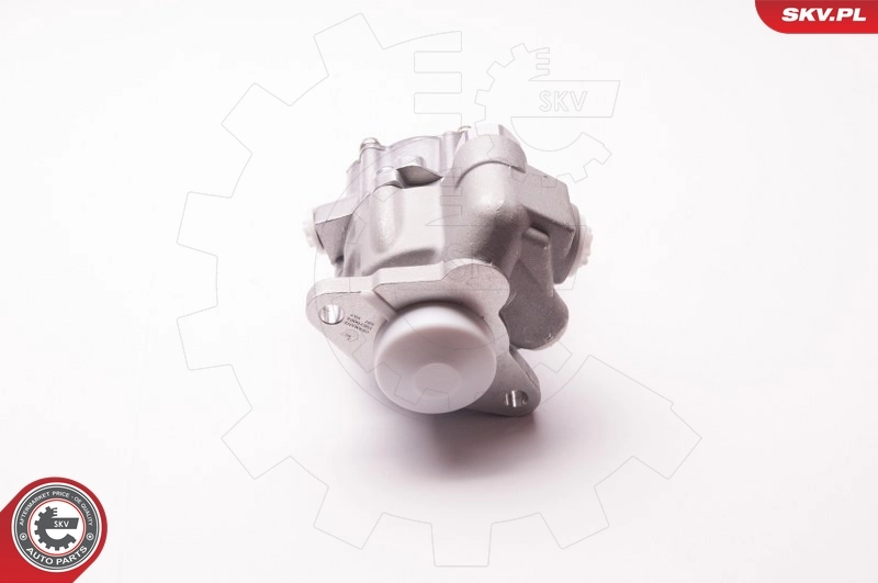 ESEN SKV 1SKV0004 Hydraulic Pump, steering