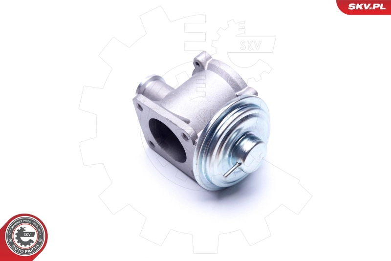 EGR Valve 14SKV177