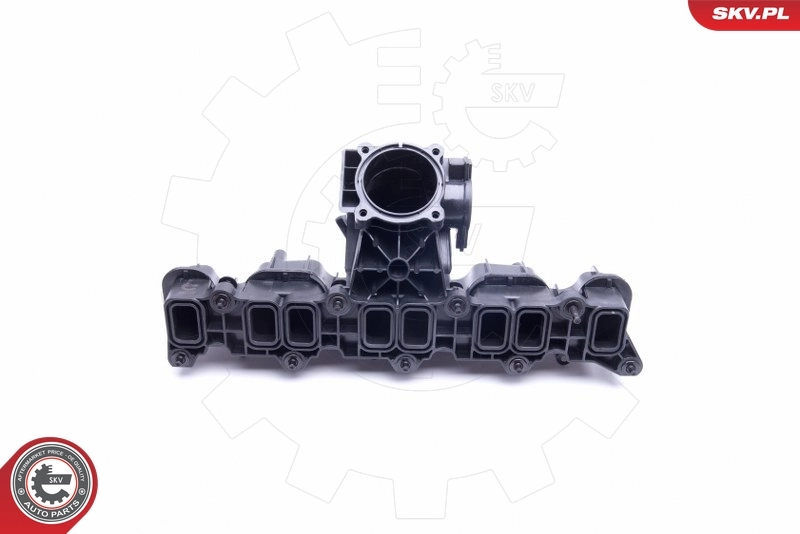 Intake Manifold Module 49SKV033