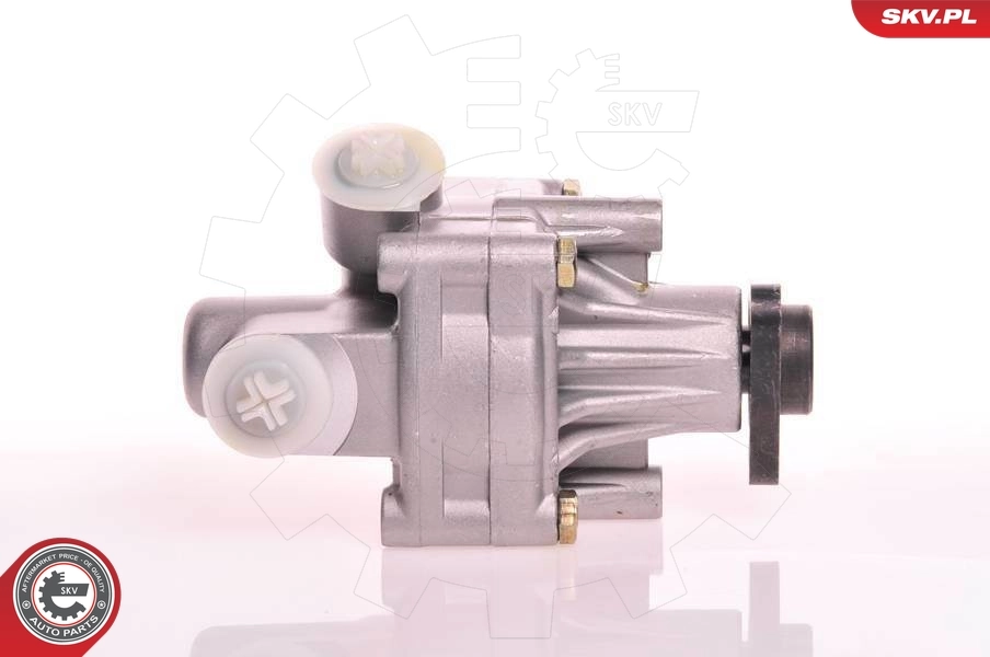 Hydraulic Pump, steering 10SKV125