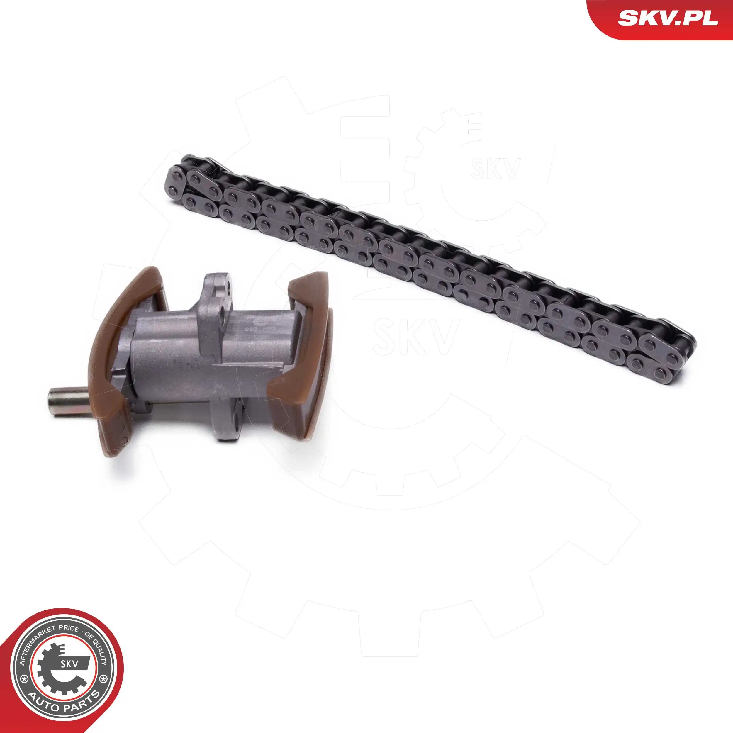 Timing Chain Kit 21SKV269