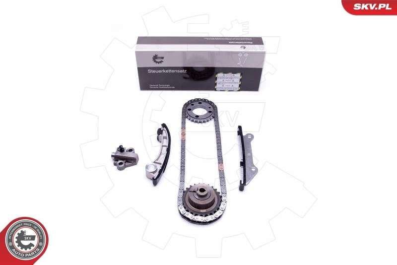 Timing Chain Kit 21SKV205