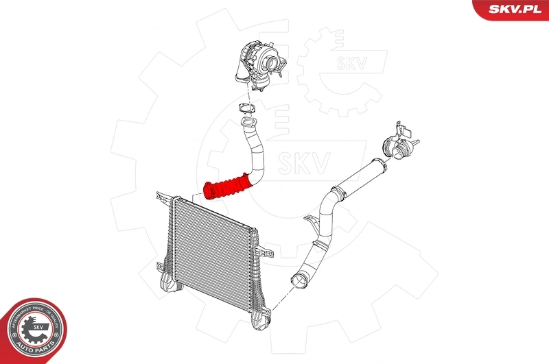 Charge Air Hose 43SKV189