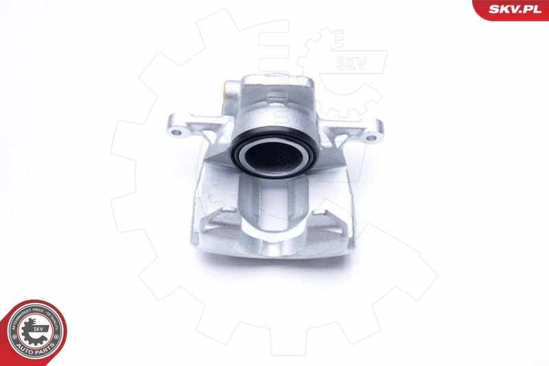 Brake Caliper 42SKV361