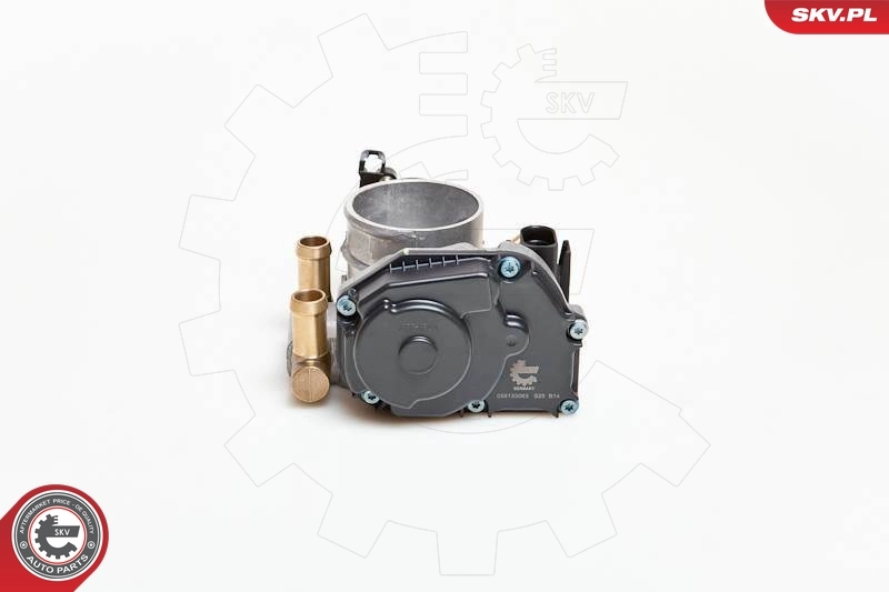 Throttle Body 12SKV004
