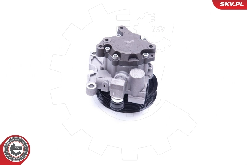 Hydraulic Pump, steering 10SKV273