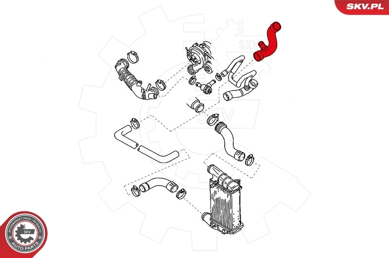 Charge Air Hose 43SKV114