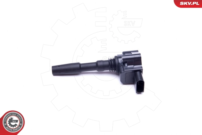 Ignition Coil 03SKV287