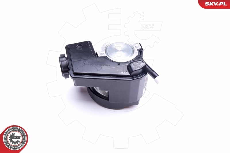 Hydraulic Pump, steering 10SKV079