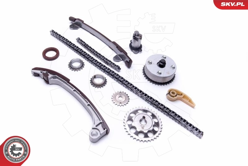 Timing Chain Kit 21SKV197