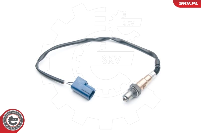 Oxygen Sensor 09SKV693