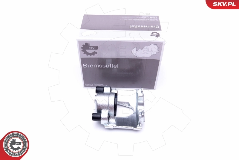 Brake Caliper 42SKV682