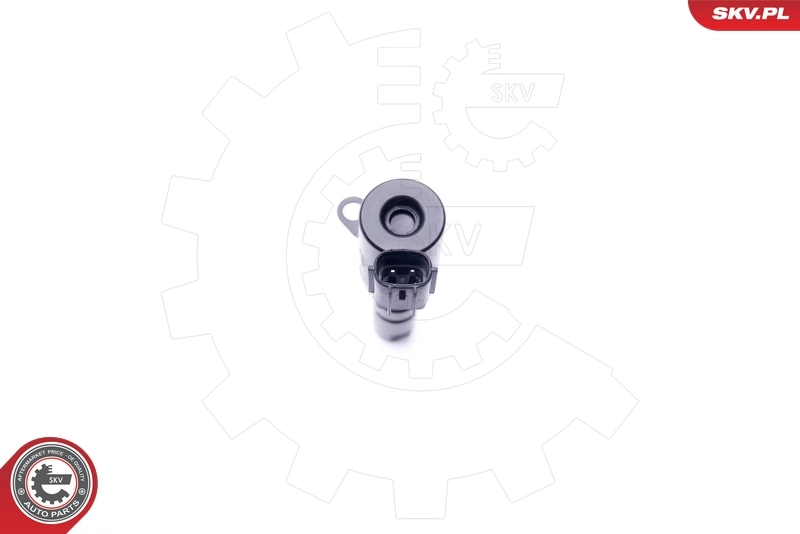 Control Valve, camshaft adjustment 39SKV016