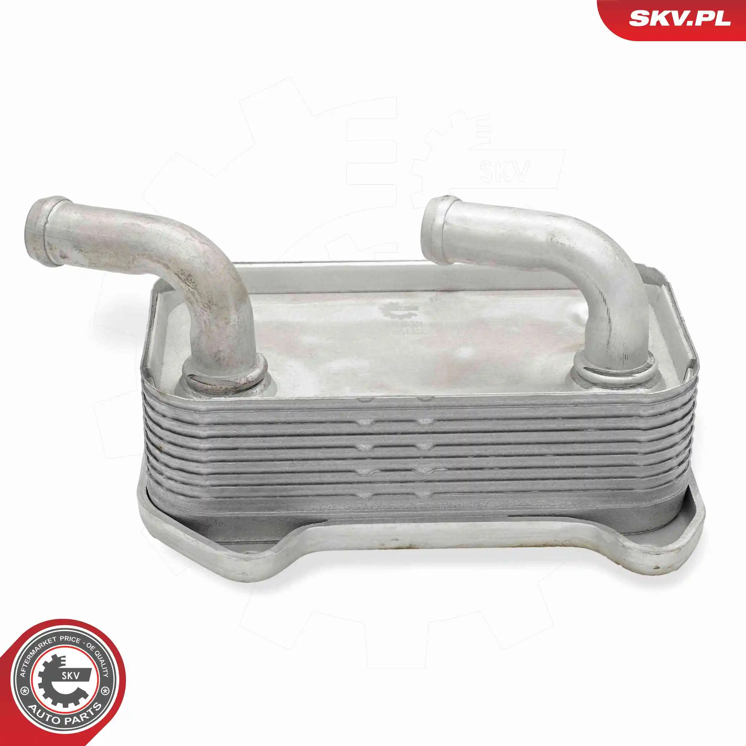 Oil Cooler, engine oil 31SKV301