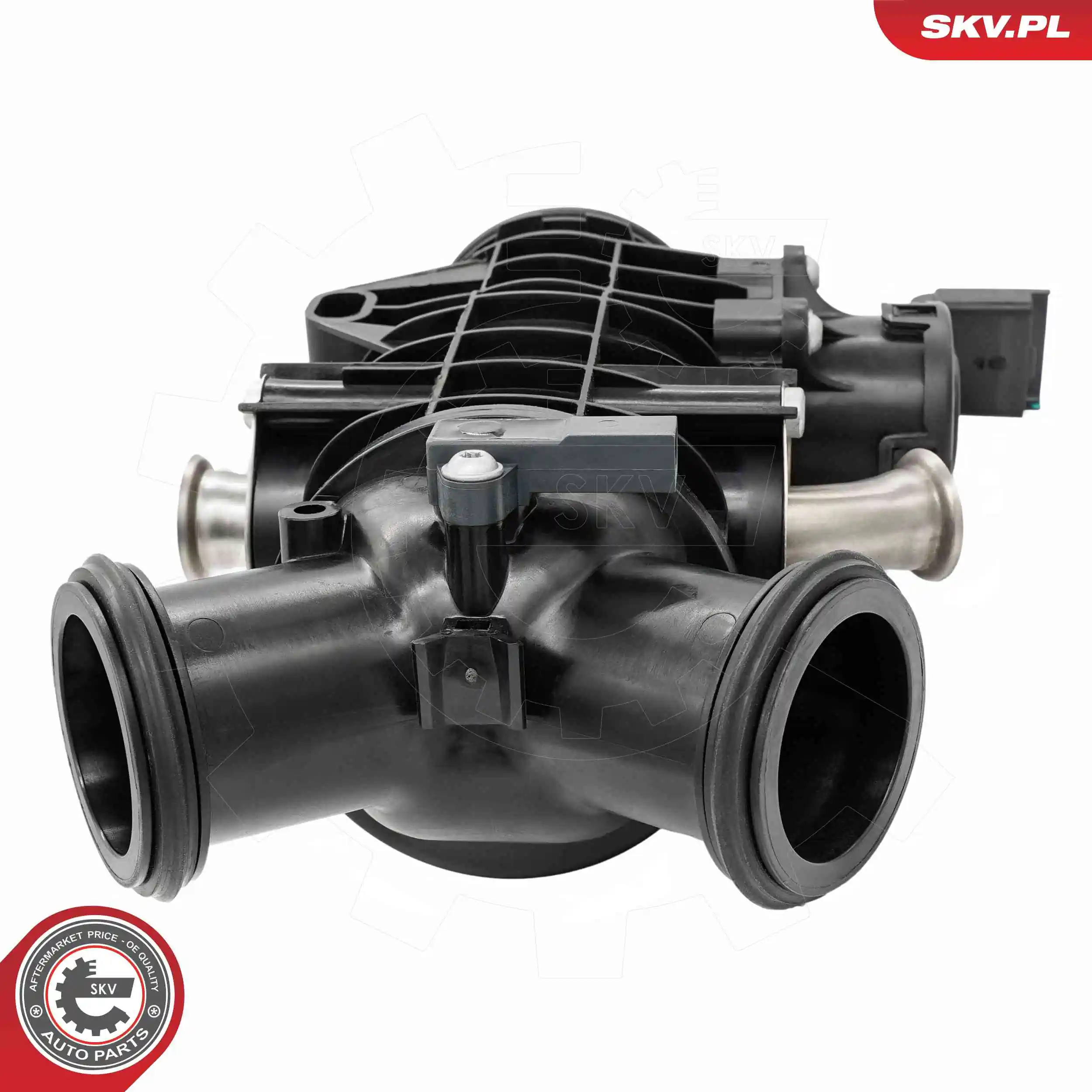 ESEN SKV 12SKV150 Throttle Body