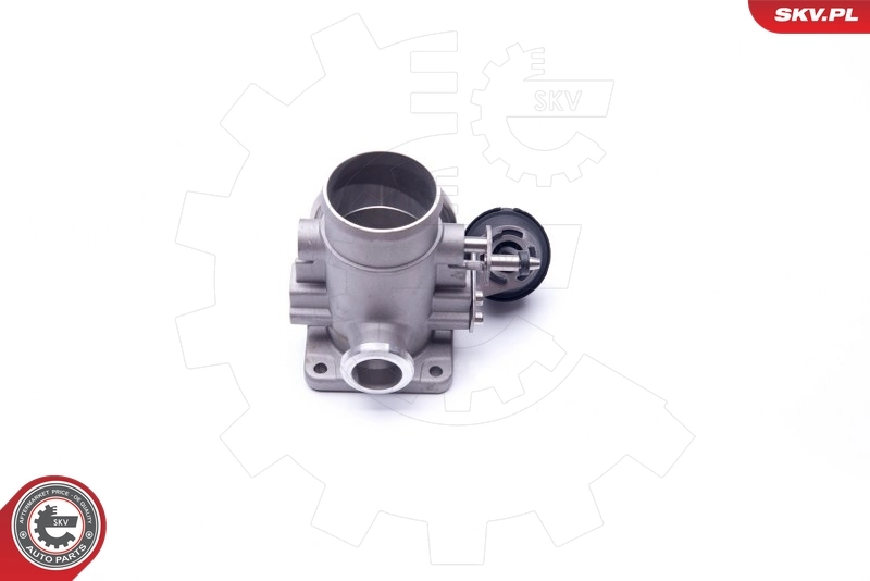 EGR Valve 14SKV107
