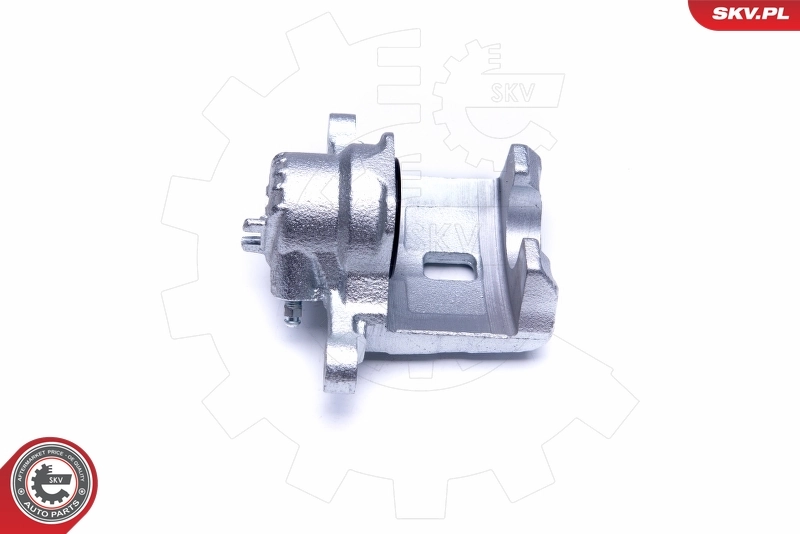 Brake Caliper 42SKV953