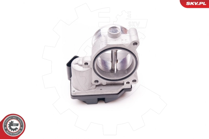 Throttle Body 12SKV059