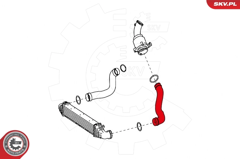 Charge Air Hose 24SKV629