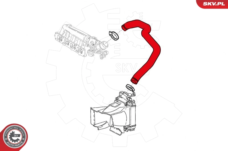 Charge Air Hose 24SKV133