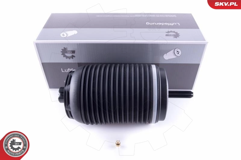 Air Spring, suspension 58SKV030