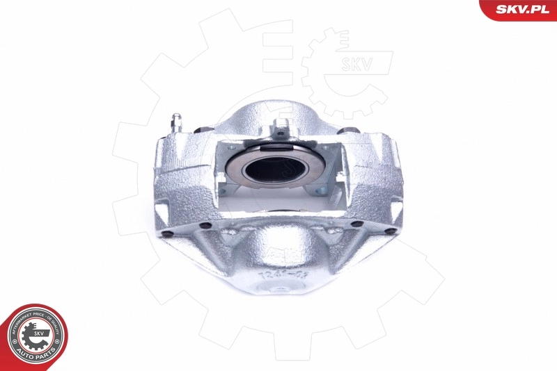 Brake Caliper 45SKV241
