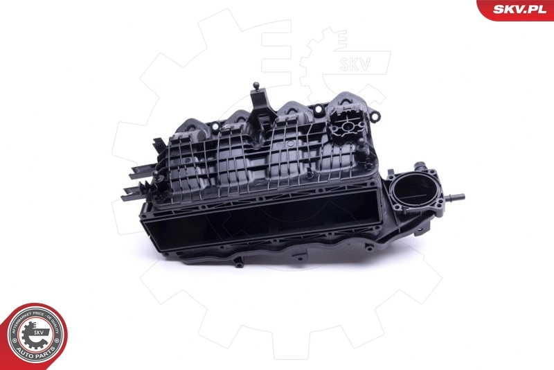 Intake Manifold Module 49SKV026