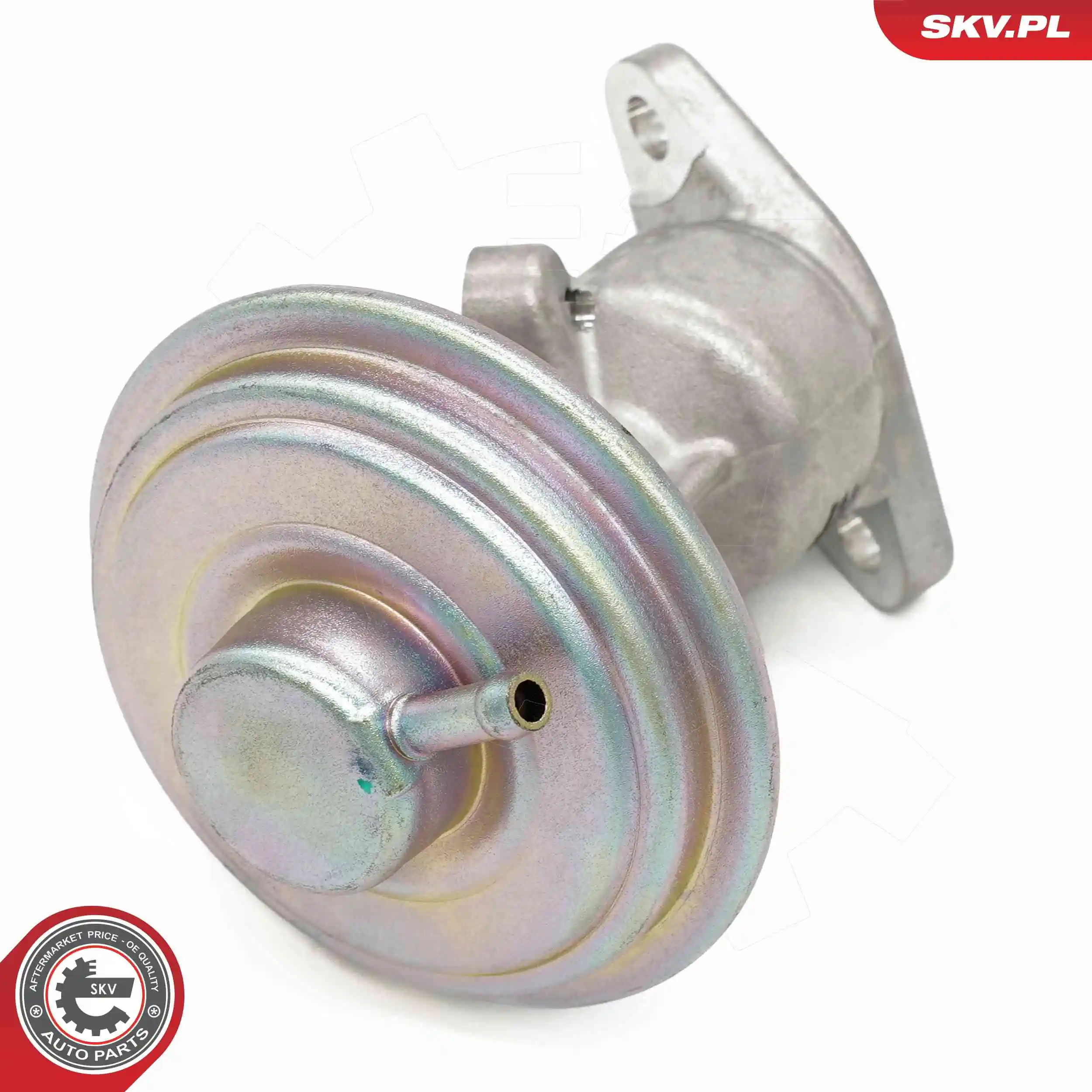ESEN SKV 14SKV258 EGR Valve
