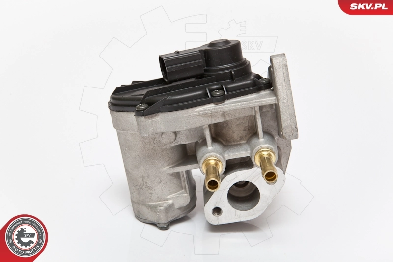 EGR Valve 14SKV086