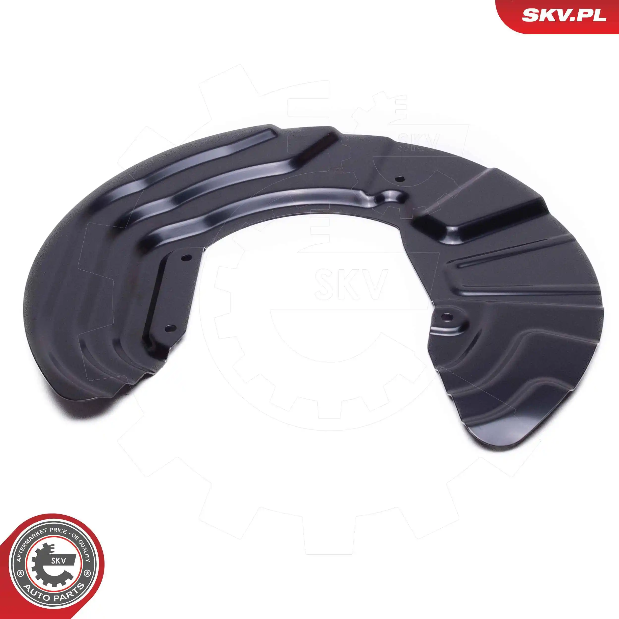 ESEN SKV 57SKV216 Splash Guard, brake disc