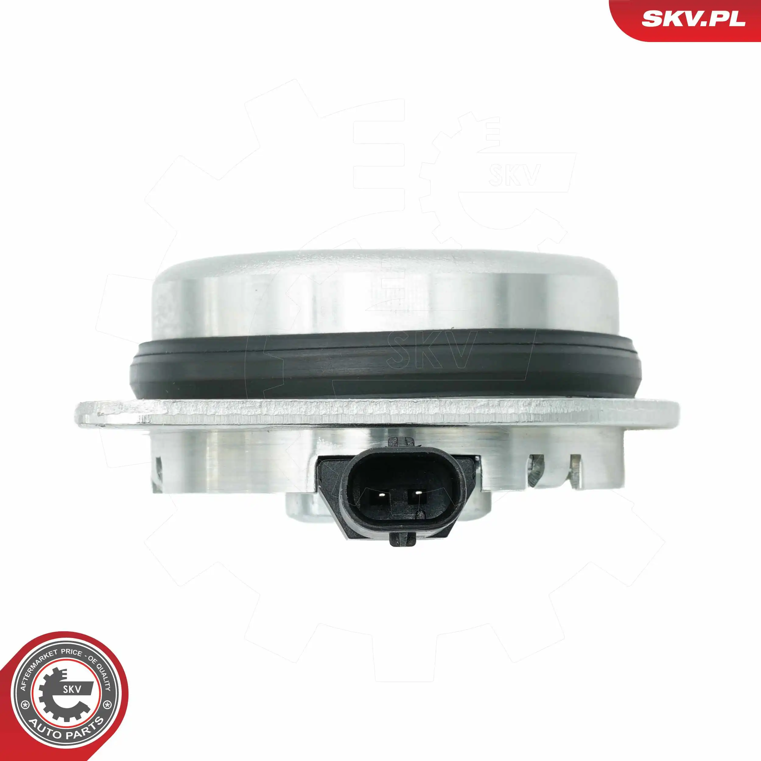 Central Magnet, camshaft adjustment 39SKV902