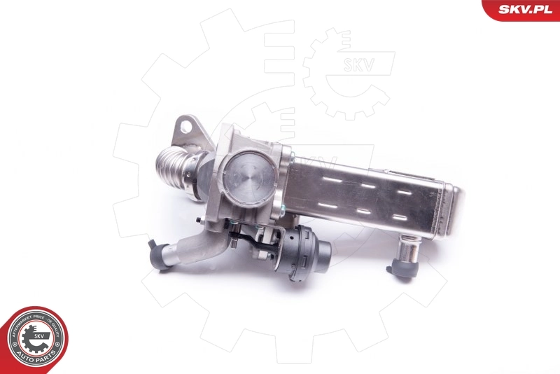 EGR Valve 14SKV135