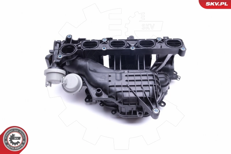 Intake Manifold Module 49SKV027