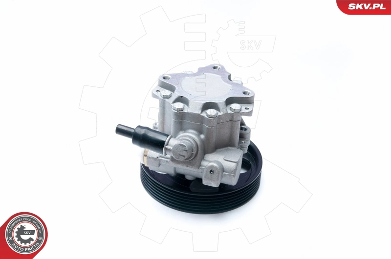 Hydraulic Pump, steering 10SKV073