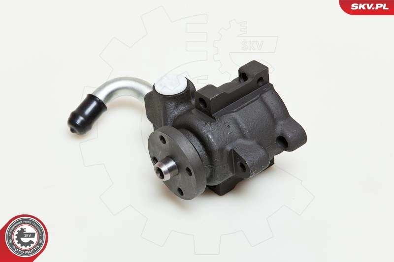 Hydraulic Pump, steering 10SKV036