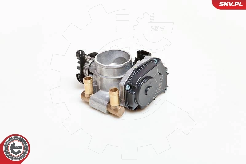 Throttle Body 12SKV004