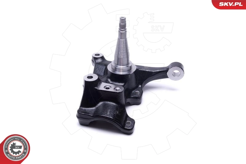 Steering Knuckle, wheel suspension 47SKV781