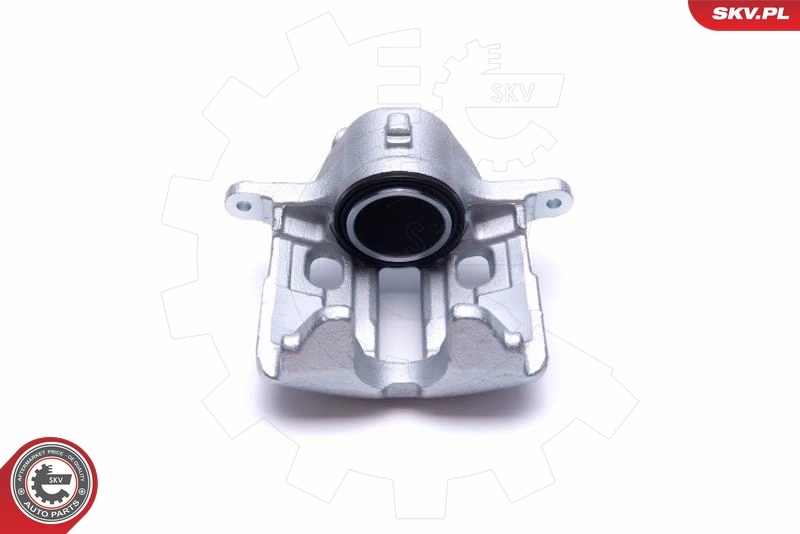 Brake Caliper 55SKV641