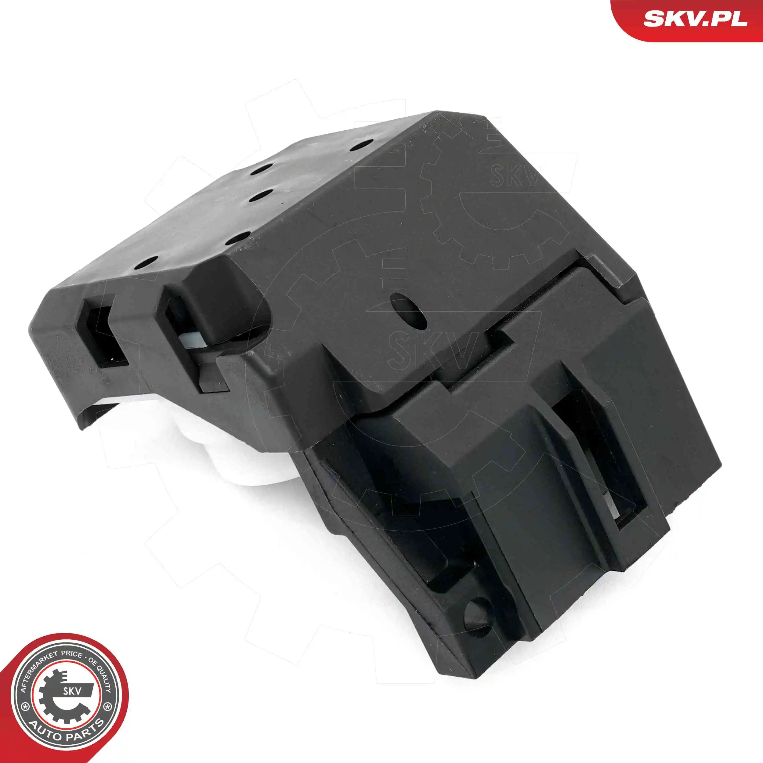 Ignition Switch 65SKV042