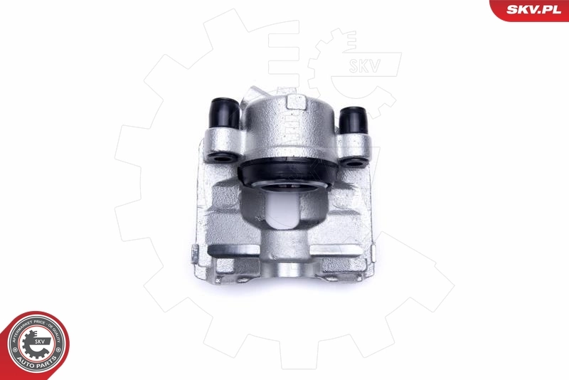 Brake Caliper 46SKV871