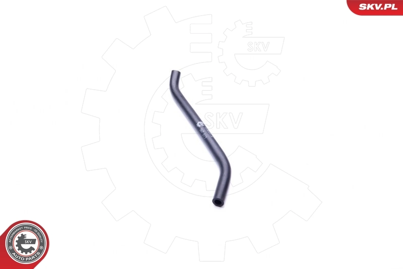 Hose, crankcase ventilation 31SKV119